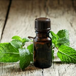 Ätherisches Öl Minze von Aromalicht Linz